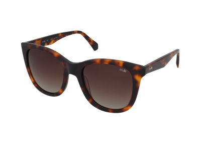 Filter: Sunglasses Crullé C5774 C2 