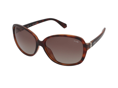 Filter: Sunglasses Crullé C5780 C1 